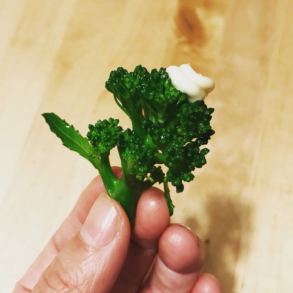 الوسم 茎ブロッコリー على تويتر