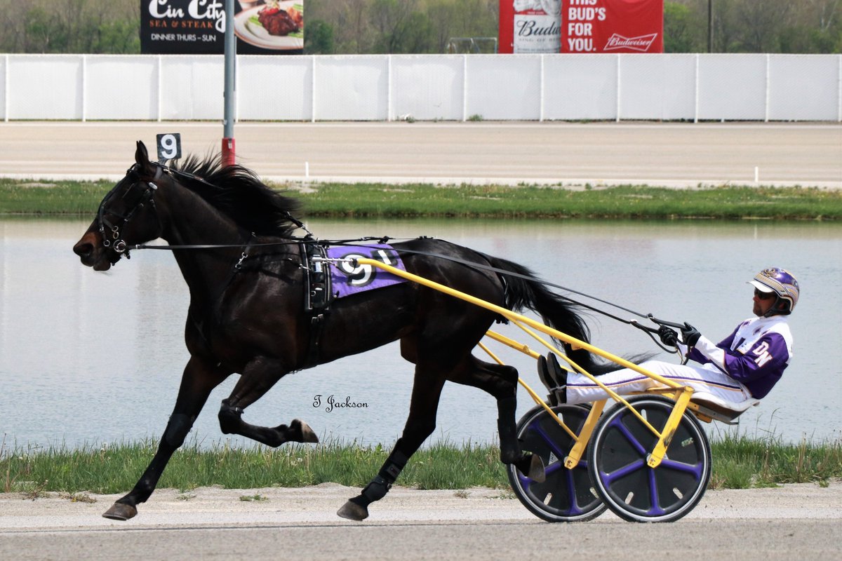 hoosiernations's tweet photo. GoodMorning @chadmoore1976 @FastPace710 @racing_fillies @Chris_wponies @JoannKi32885615 @rebelsart @jtlburn @kimberlymoier @vnssa926 @bigticketbates @KathleenBaitzel @SadandSulk @MVGOHIO #SpeedLane #DanNoble #MiaimValley https://t.co/qKCKo6FI2k