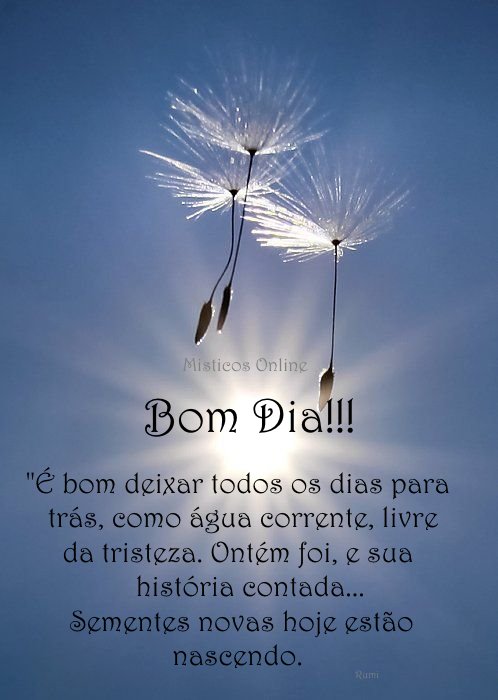 Misticos Online on X: Bom Dia!!! Ótima sexta!!! #misticosonline #misticos  #tarot #tarotonline #bomdia #pazeluz  / X