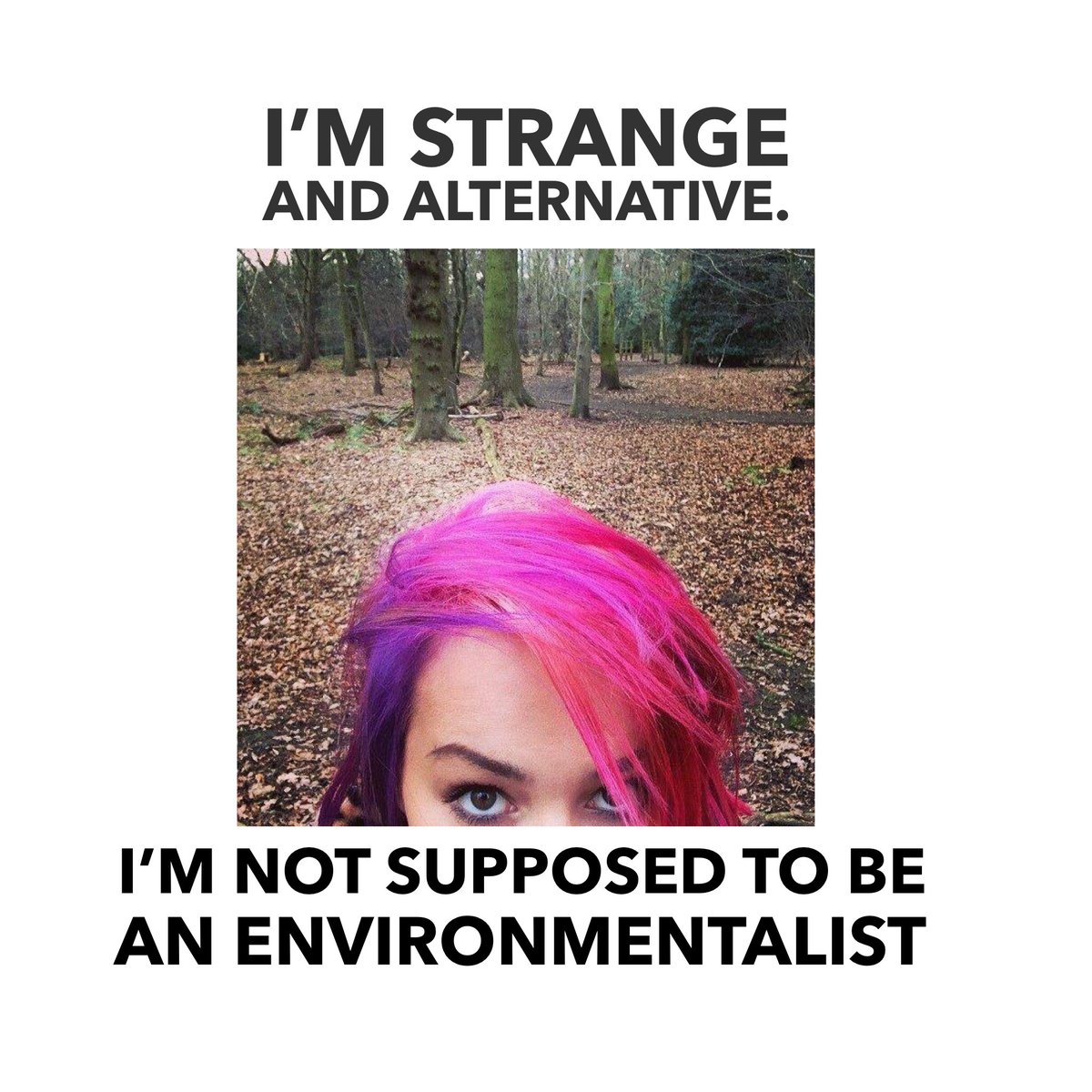 Leafecoweb's tweet photo. I’m strange and alternative, I’m not supposed to be an environmentalist becau... 

https://t.co/dPelDO7rcL

#zerowaste #climatechange https://t.co/N5frRexU9T