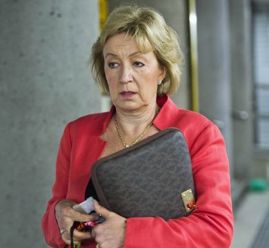 Kepilo's tweet photo. Demonstrably, @andrealeadsom is stupid, and I believe she is a woman, just as Theresa May is a deluded, mendacious hag. I find John Bercow’s comments accurate, if not understated. What’s the issue, @10DowningStreet? Simply can’t handle Bercow and want him out? #fble #stopbrexit https://t.co/heFbR6Q8dA