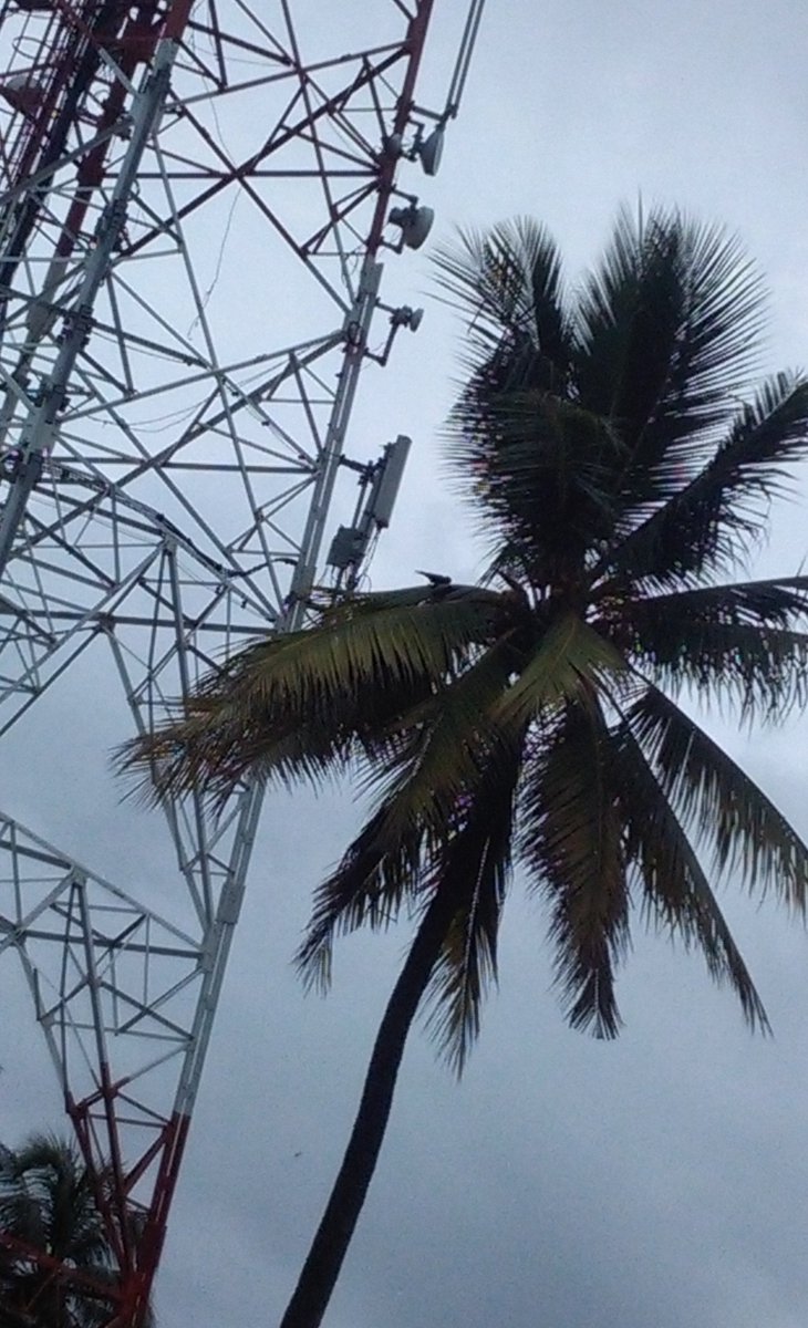 ShukriyaAlthaf's tweet image. Awesome climate #srilanka #colombo10