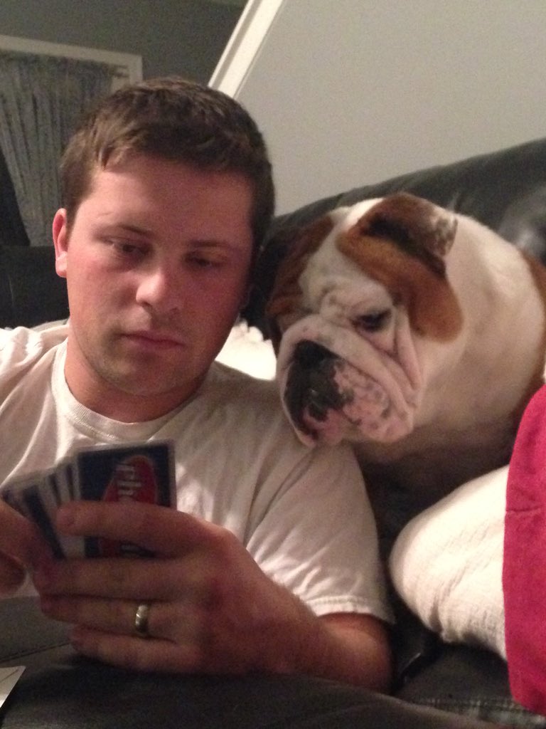 Chunk_Bulldog92's tweet photo. “Dad....do you evening know what your are doing??” https://t.co/RNSB1lS8c0