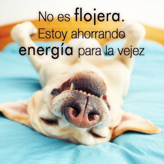coloreteshop's tweet photo. FELIZ DOMINGO!!! https://t.co/YjnLxdI0V0