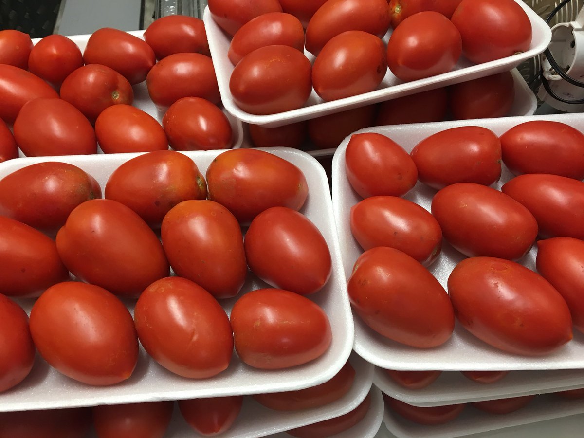 Labrandero55's tweet photo. Hoy con este día soleado apetece un #Gazpacho fresquito ¿Qué tomates pondremos? #TomatesPera o #TomatesDeRama https://t.co/FPb9BnHW9w