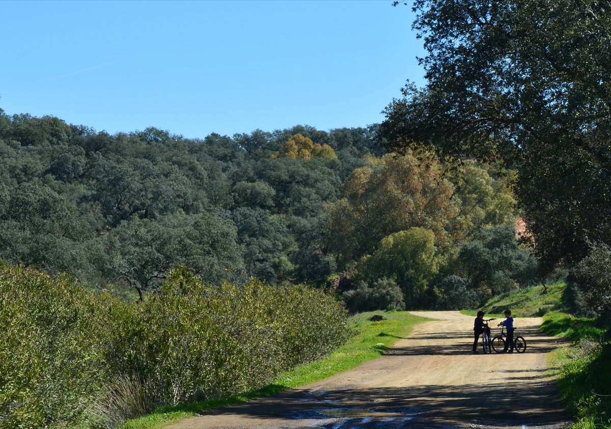 TurismRonquillo's tweet photo. Descubre nuestro entorno natural en #bicicleta
📷 Eva María Domínguez Lobo
Concurso fotográfico RONQUILLO AL NATURAL
#ElRonquillo #Sevilla #visitaelronquillo #descubrelronquillo #Andalucía #compartelronquillo
Servicio de alquiler de bicicletas en nuestra Oficina de Turismo https://t.co/zzgPT9gx5z