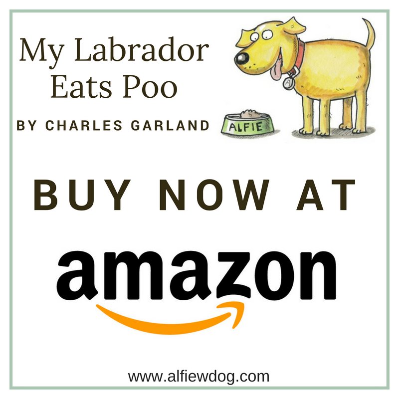 alfiewdog's tweet photo. Grab this  book for all your friends and family who love dogs! Click the link: https://t.co/eNGB1wBJOz https://t.co/n5zzhPvCSu