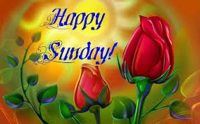 thekelzta's tweet photo. #SundayFunday https://t.co/HUGVFZ93vh