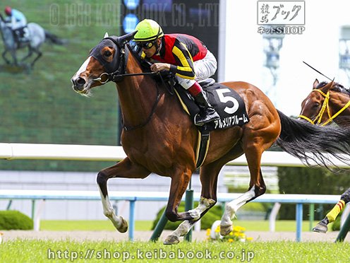 アルメリア ブルーム