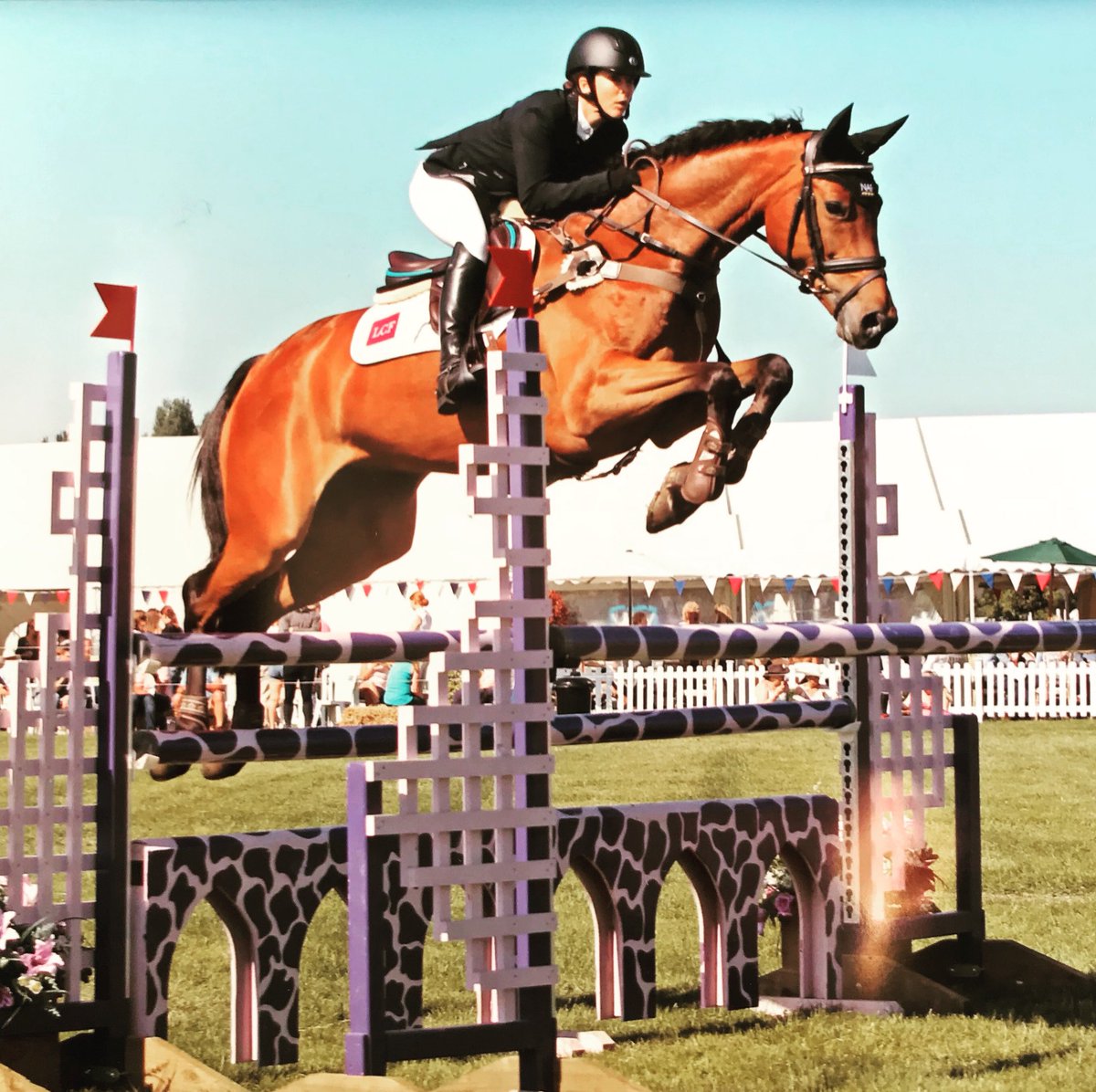 EmilyBaldwinEventing tweet media