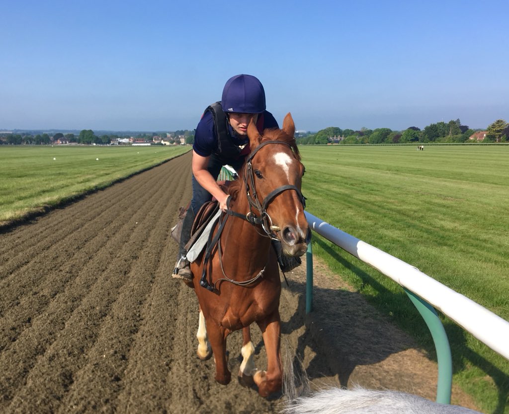 JohnWathenBerry's tweet photo. A very pleasant morning in the sunshine @NewmarketGallop with some good help from @BenCooke__ #WastedSunsets #Freediver https://t.co/C3lkIM0iyd