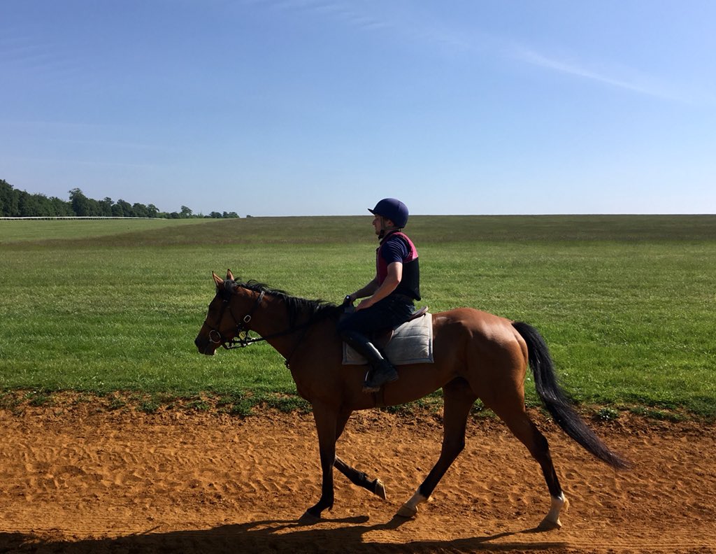JohnWathenBerry's tweet photo. A very pleasant morning in the sunshine @NewmarketGallop with some good help from @BenCooke__ #WastedSunsets #Freediver https://t.co/C3lkIM0iyd