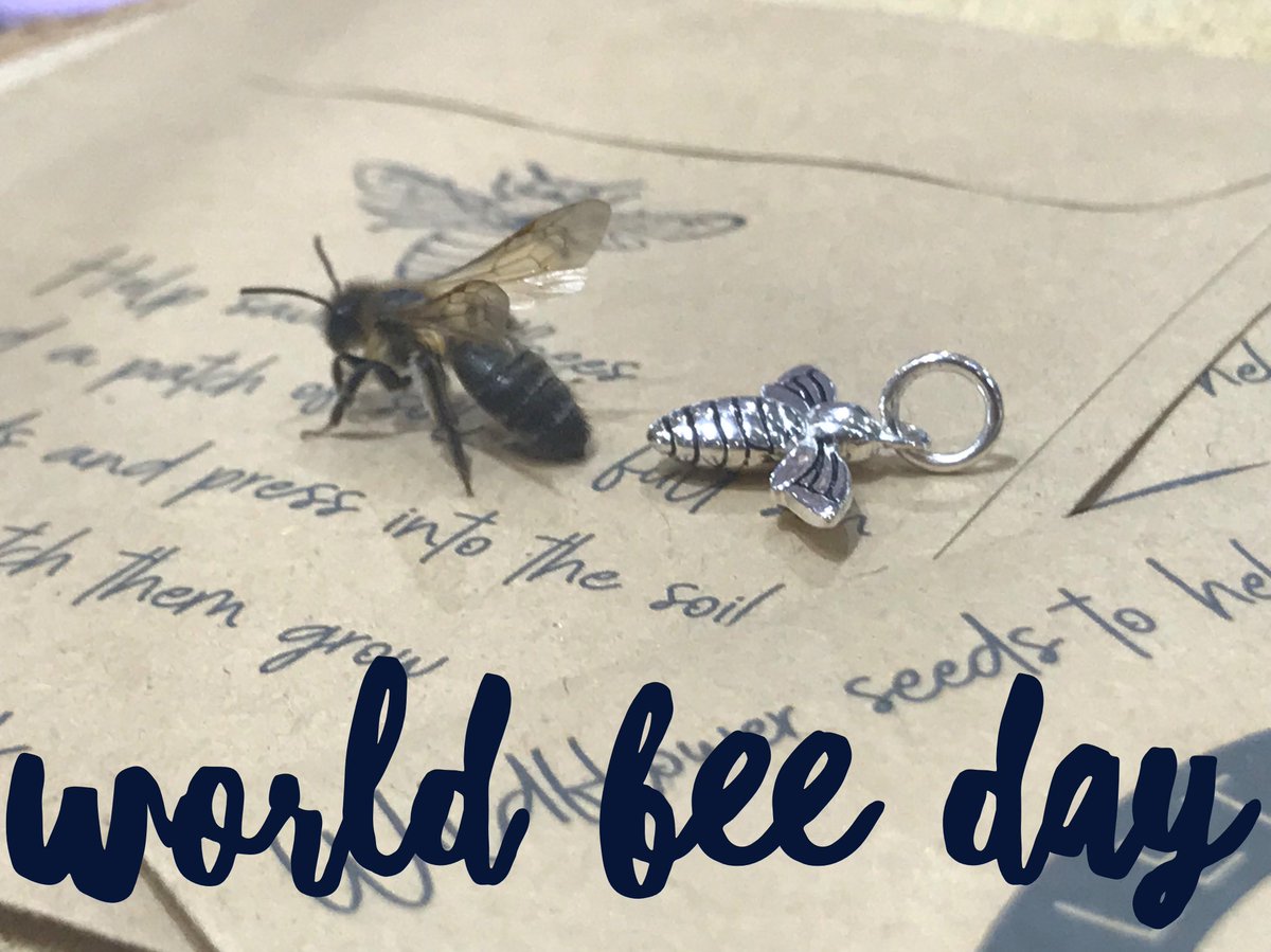 SteffansUK's tweet photo. World Bee day. Head over to Facebook to WIN. #savethebees #steff #steffans #worldbeesday https://t.co/x9JtfHUWSV