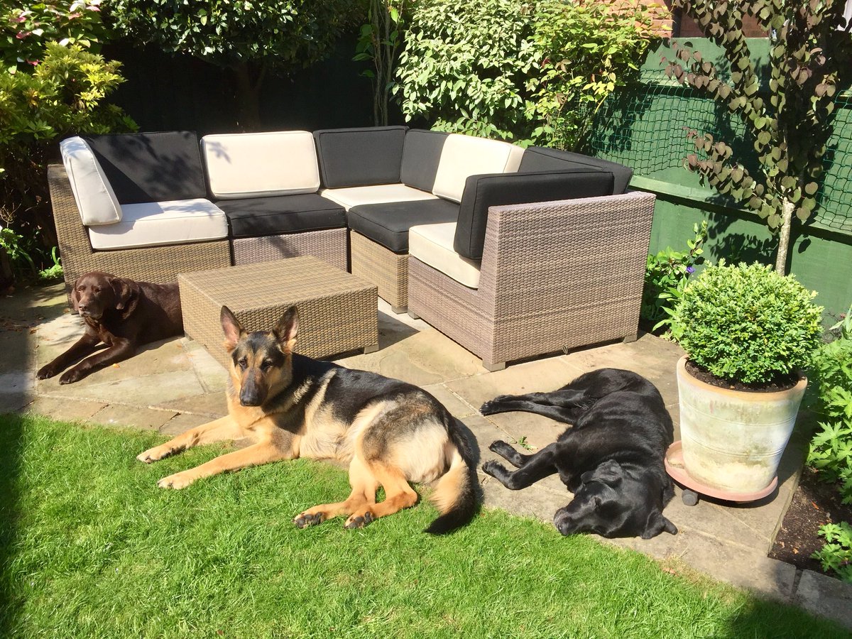NedSaid2016's tweet photo. Easy like Sunday morning... 🎼 https://t.co/0UEkR967OO