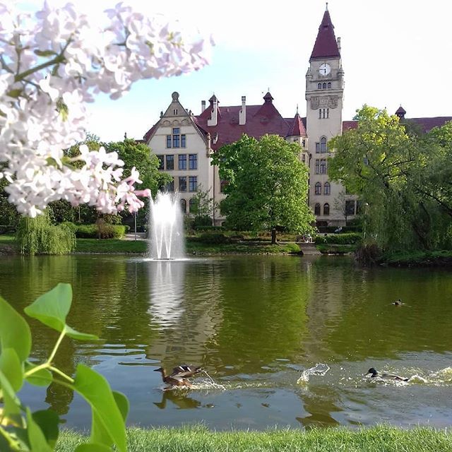 PWr_Wroclaw's tweet photo. Dzień dobry! 🌞 Co dziś robicie: zakuwacie czy wypoczywacie? 😉
Regrann from @cinnamonium 📷
Spokój w środku miasta #parktolpy #park #olbin #wroclaw #wroclovers #igerswroclaw #pwr #najlepiejpwr #kampuspwr #politechnika #politechnikawroclawska #universit… https://t.co/O7khpUfoU9 https://t.co/1Z6lEryLlj