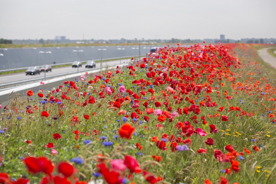 Ministerie van Economische Zaken en Klimaat tweet media
