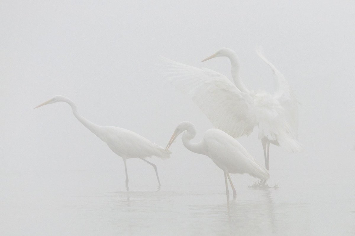 Archillect (@archillect) on Twitter photo 