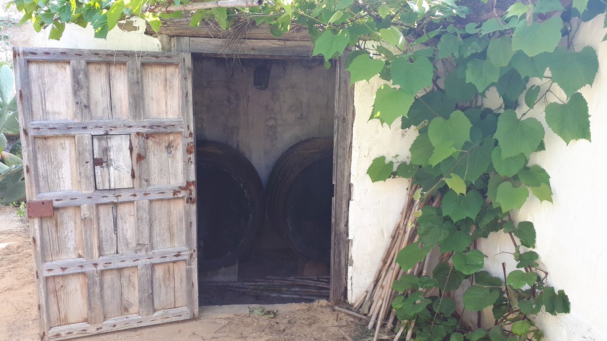 FoodTravelTL's tweet photo. Visitamos la Cooperativa Católico Agrícola para conocer el #MuseodelMoscatel🍷🥂 #ChipionaNatural @TurismoChipiona https://t.co/uuCUMJvAmf