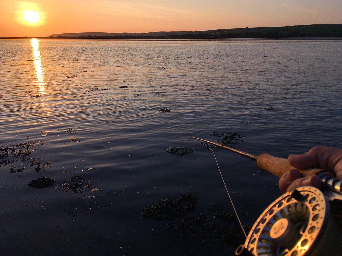 yodatheangler's tweet image. Last knockings on the estuary last night, my first Bass of the year on a very lovely evening! The Snowbee Spectre Predator/Saltwater 9’ #8wt is awesome but maybe a little bit unnecessary for this little school Bass, on a chartreuse herring streamer... #Snowbee