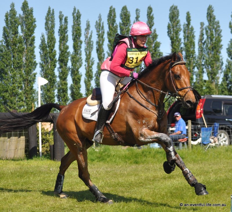 eventfulifebook's tweet photo. Sometimes I do wonder who's watching who on cross country? #eventing #RockinghamHT https://t.co/LQAtZOOJ4I
