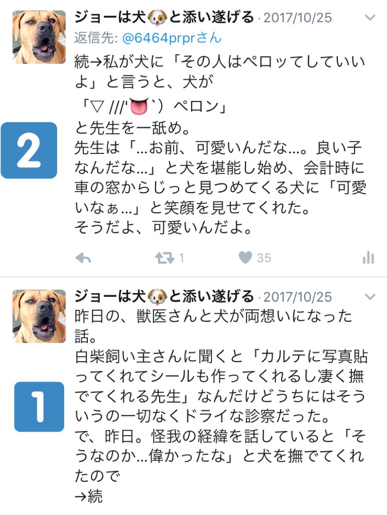 愛犬を散歩してたらノーリード犬に襲いかかられ その飼主は謝らないどころが見当違いな捨て台詞を残して立ち去った話 Togetter 愛犬を散歩してたらノーリード犬に襲いかかられ その飼主は謝らないどころが見当違いな捨て台詞を残して立ち去った話 Togetter