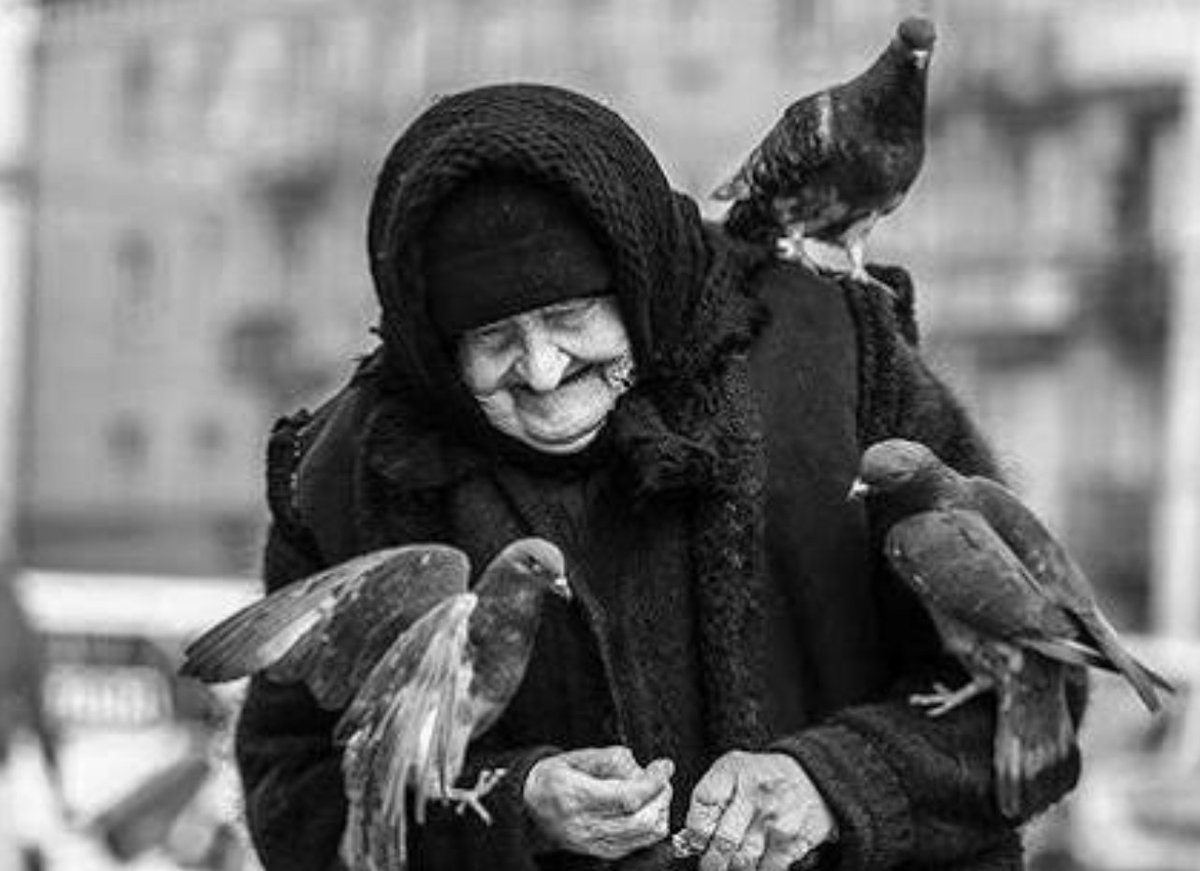 النفوس الطيبة لها وجوه طيبة حتى وإن لم تكن ملامحها جميلة، ما يُزرع في داخل النفس تخرج ثماره في ملامحنا الخارجية!