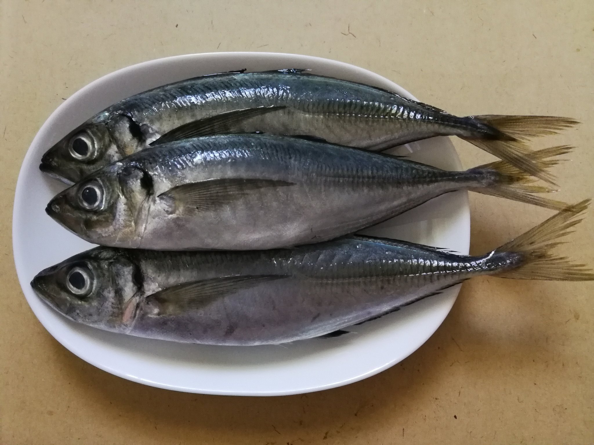 高橋典幸⛅ on Twitter