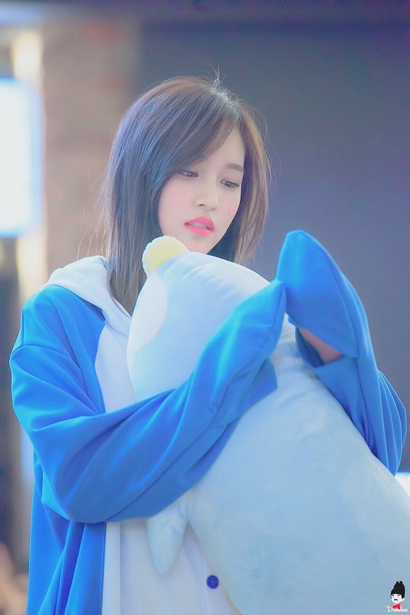 ギャンブル 上記の頭と肩 ぼろ ミナ ペンギン 着ぐるみ Childrensbereavementfoundation Org