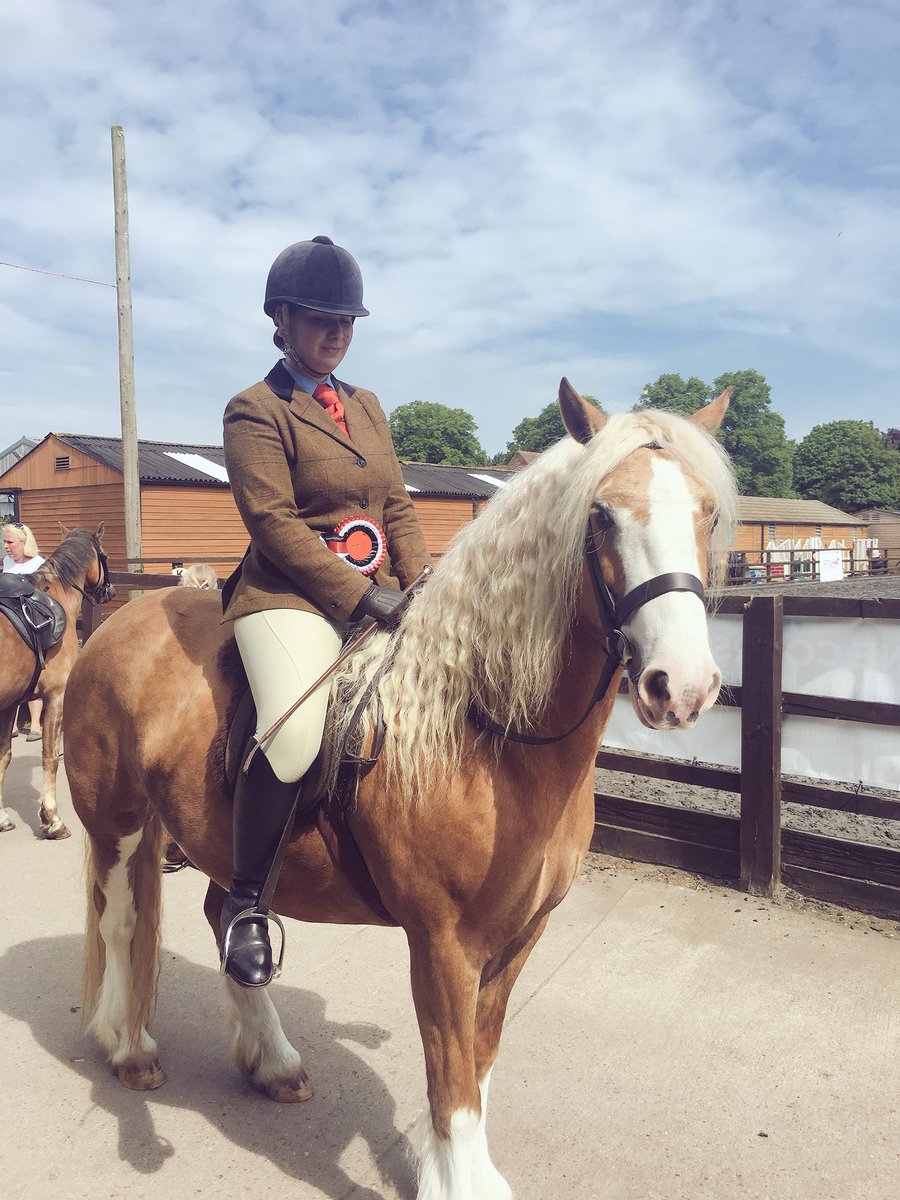 Reaseheath Equine tweet media