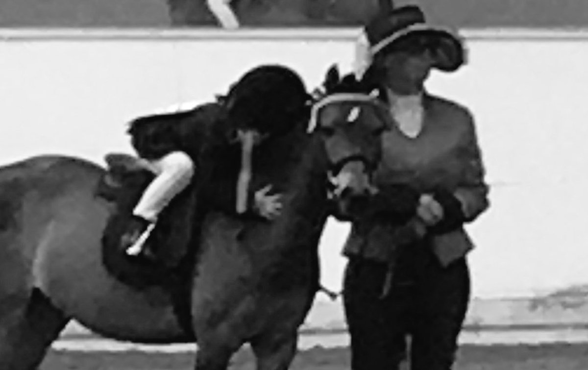 Reaseheath Equine tweet media