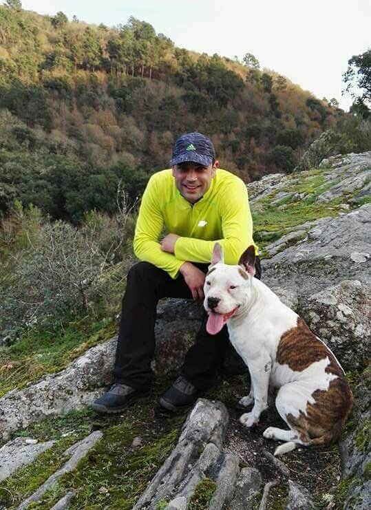 LuProt's tweet photo. ROCCO DESAPARECIDO!!!SI ALGUIEN LO VE PONEROS EN CONTACTO CON 636578909
Se perdió pornla zona de #Canabal , concello de #Sober (#lugo) AUNQUE PUEDE ESTAR EN CUALQUIER PARTE...
Es muy bueno y sociable. 
Tfno: 636578909
Gracias.
https://t.co/rPwBbZwcqt
#difusion #perdido #sos https://t.co/6gaIUqJ2Oh