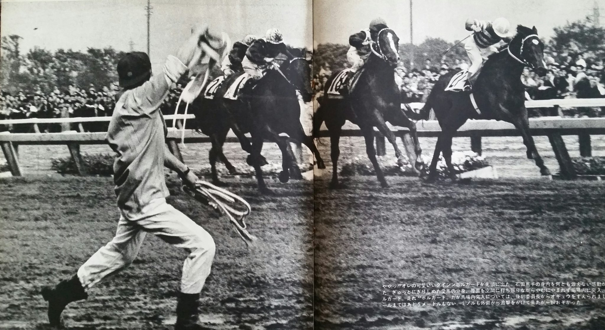 ビッグワン 日本ダービー史を語る上で欠かせないのが 1969年の第36回 勝ったダイシンボルガードの担当厩務員が馬場に飛び出すわ 大崎昭一騎手がファンに胴上げされるわ 1番人気のタカツバキがスタート直後に落馬するわと 波乱に富んだ年でした 昔の ビッグワン 日本ダービー史を語る上で欠かせないのが 1969年の第36回 勝ったダイシンボルガードの担当厩務員が馬場に飛び出すわ 大崎昭一騎手がファンに胴上げされるわ 1番人気のタカツバキがスタート直後に落馬するわと 波乱に富んだ年でした 昔の