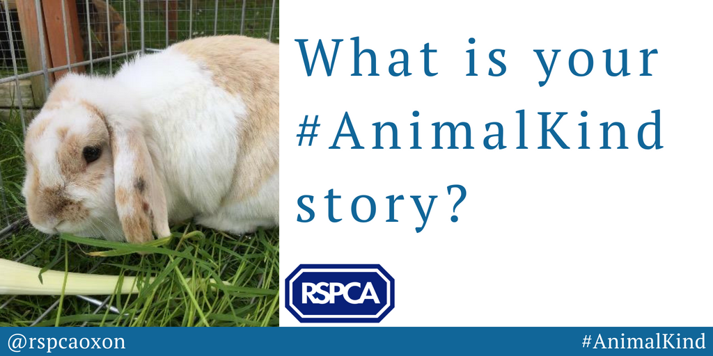 rspcaoxon's tweet photo. It takes all of us to create a world that's kind to animals. Help us today by sharing your #AnimalKind story. https://t.co/zZKWKWHdpv https://t.co/uxvEDASbAL