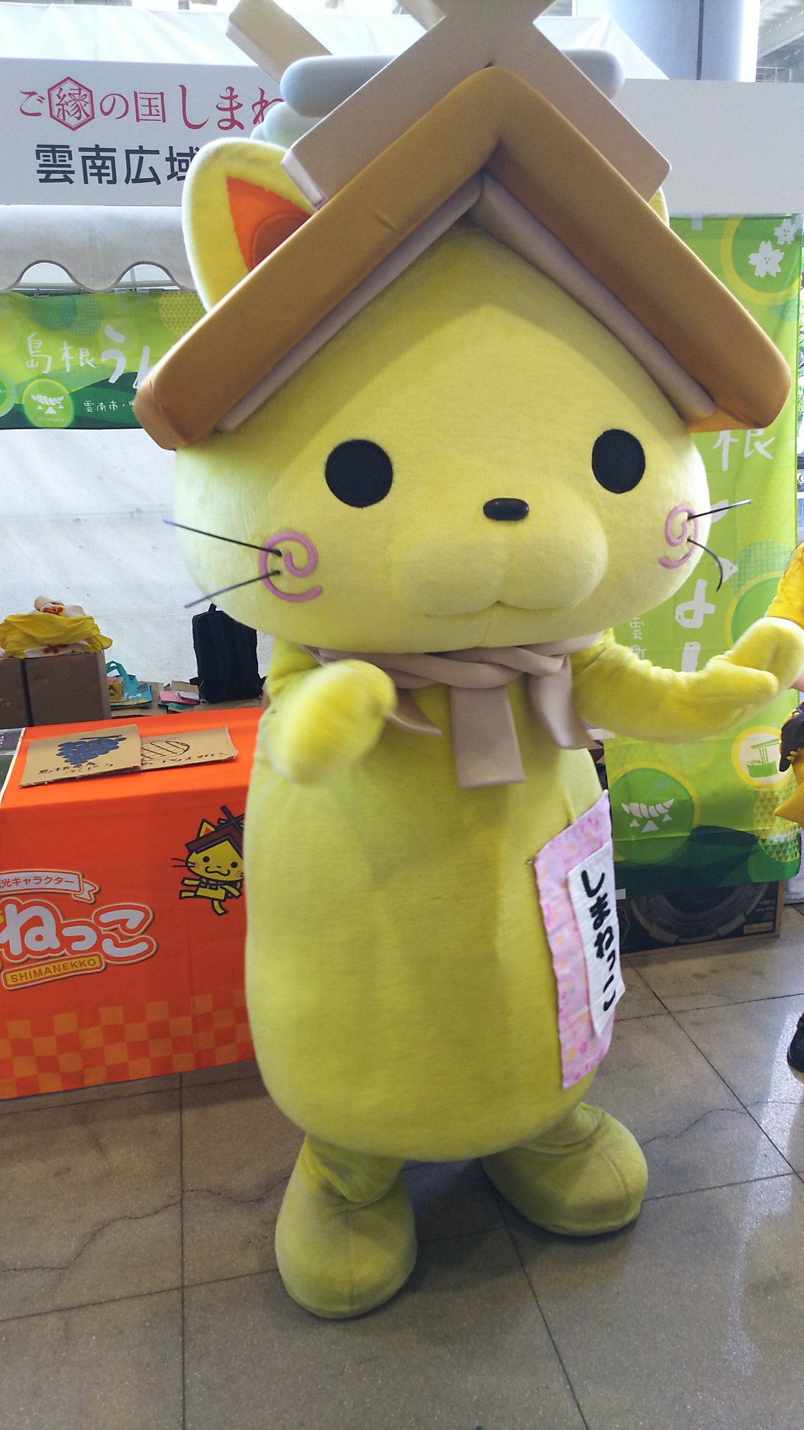 久米島のくーみん Twitter Search Twitter