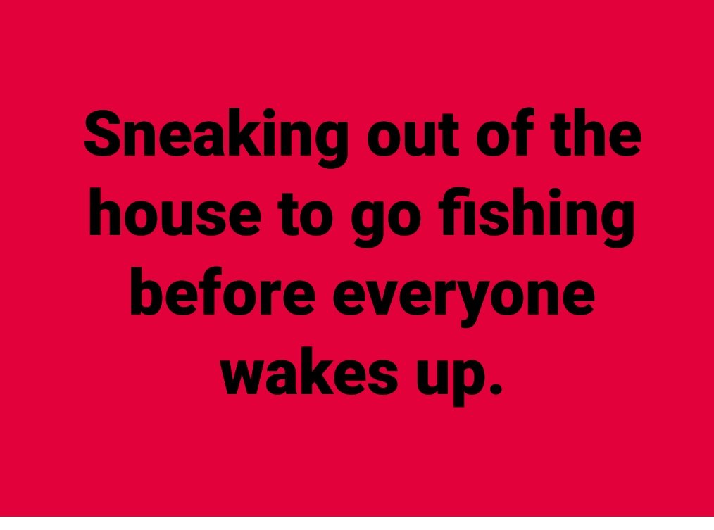 Charlie Rye tweet media