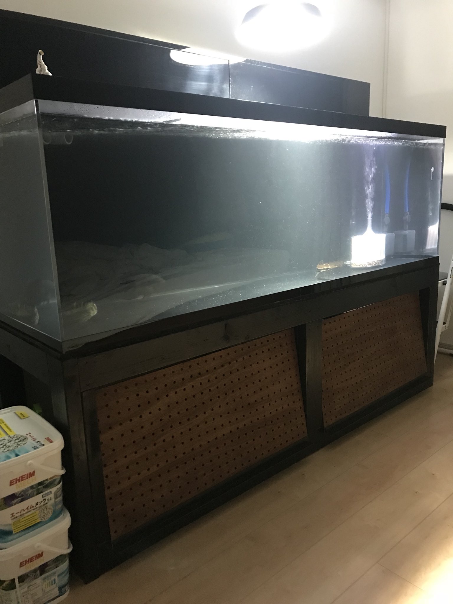 Pas 先日 比較的サイズ感が大きい個体のみを1800水槽に移しました で コレ 真っ白っす 笑 あれだけ作るのに苦労したスポンジろ材ですが 少し心細いので安定のエーハイムメックを使おうと思います 上部フィルターにエアレーションも考えたのです