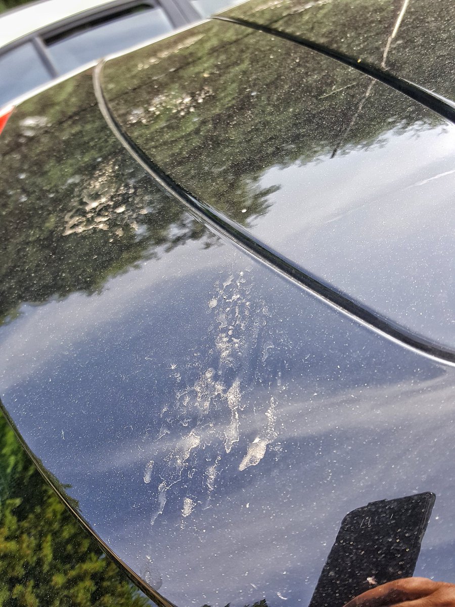 CSabofzik's tweet photo. Lieblingsmarder is not amused: #Auto stand in fremdem #Revier beim #ReporterTausch2018 #Heidenheim https://t.co/WwRfsjT84R