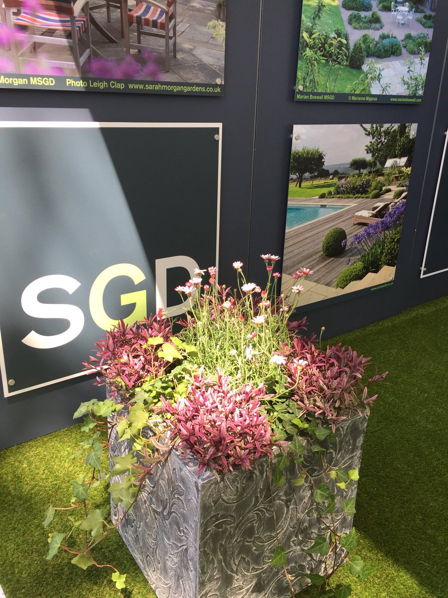 The_SGLD's tweet image. Looking forward to welcoming everyone to the SGD stand at #RHSChelsea next week. Come and meet our members and be inspired.