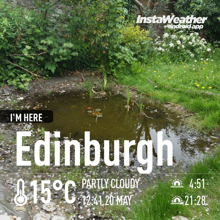 Diana_McCobb's tweet photo. @WindyWilson88 #Edinburgh #warm #cloudy #needrainforthepond #pondwatch #dryingup #BalgreenDi https://t.co/WWi6FJJWdp