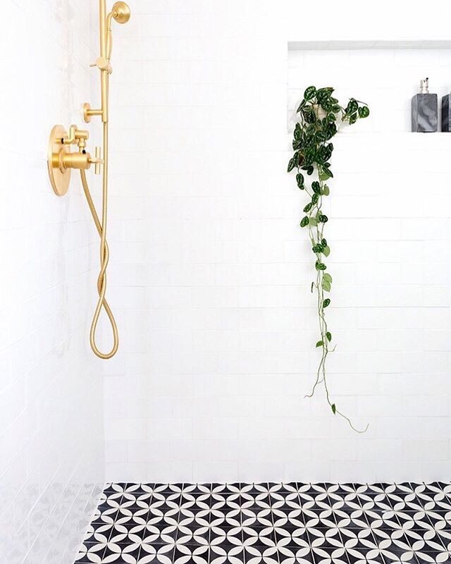 NicollsDesign's tweet photo. • Now this is one of the most beautiful shower’s we have ever seen, agreed? • #😍
Image via Pinterest / no designer tag .
.
.
.
.
.
.
#design #home #interior #homedesign #homestyle #coronado #sandiego #interiordecoration #homeinspiration #dreambathroo… https://t.co/MXq5m366mK https://t.co/mmjd7NrI3C