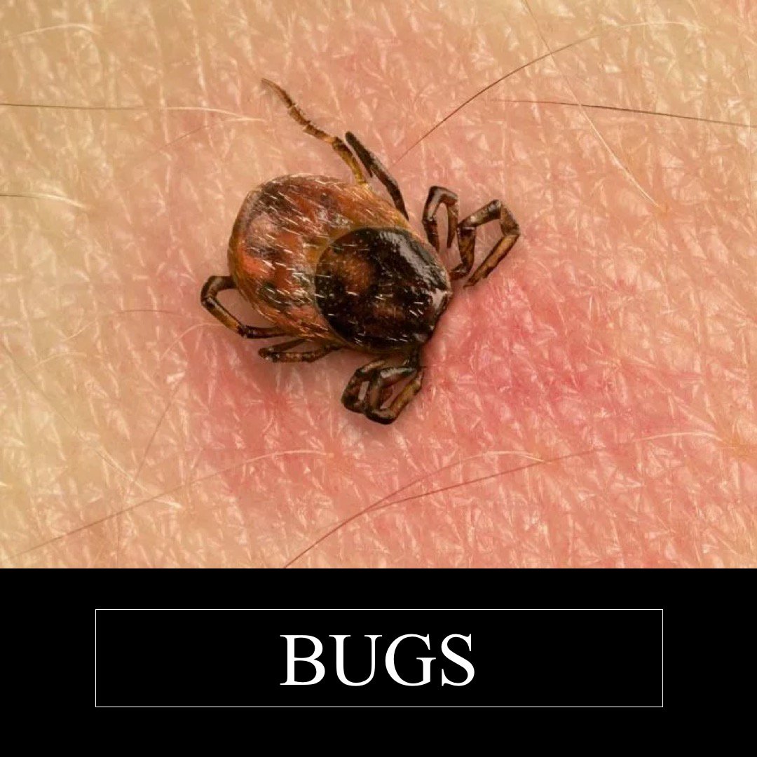 Rootmed On Twitter When You Get Bitten By A Mosquito Or