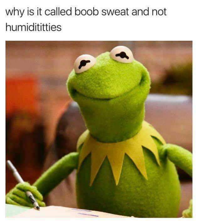 Divide and Conker tweet media