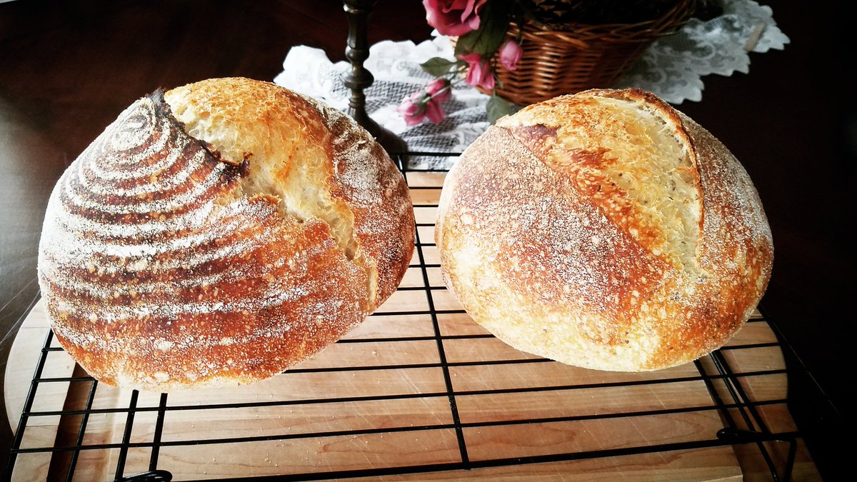 EricTaubert's tweet photo. Today's #highhydration #sourdoughbread #bake.

Plain #Sourdough (L)

Sourdough w/ #Maine #Dulse (R)

#bread #baking #realbread #fermentation #nocommercialyeast #seaweed https://t.co/mVnYziUmhk