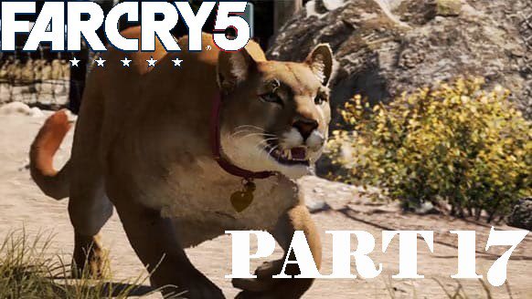 far cry 5 puma