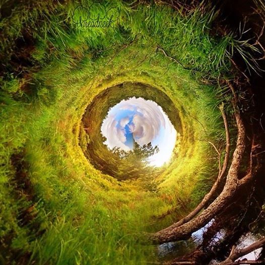 openbiolabs's tweet photo. Curious about topics outside what is offered in our recurring classes? In our Rabbit Hole Explorers sessions, it’s a "choose your own adventure" where our master learners will guide you down the rabbit hole of any topic YOU choose! Join us 5/24. https://t.co/OGNNDybJxt https://t.co/PLLGZGUUFq