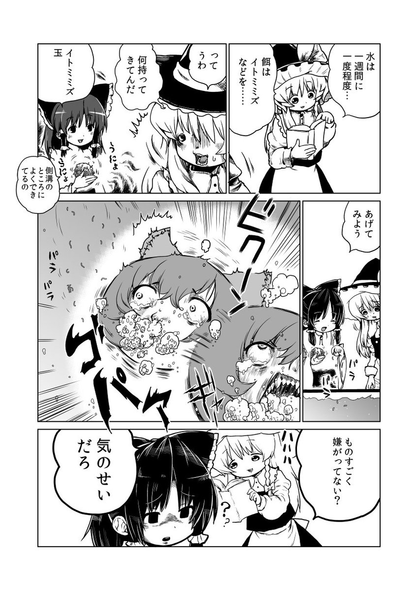 ５月例大祭新刊「クサノネショックガールズ」書店委託しています！よろしくおねがいします！
 
