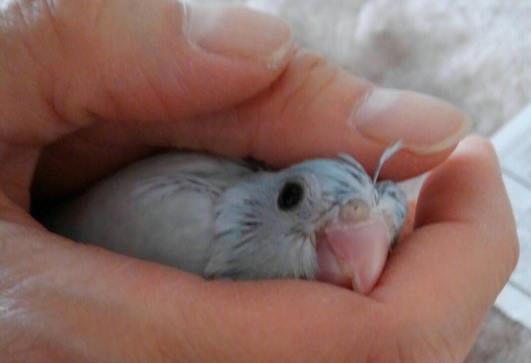 yummy (@yummyfd) on Twitter photo 