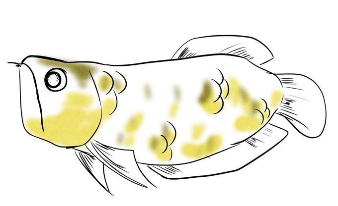 アロワナのtwitterイラスト検索結果 アロワナのtwitterイラスト検索結果