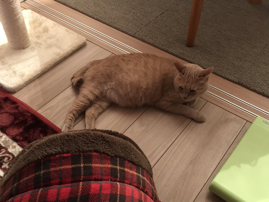 放言barリークス Twitter Search Twitter