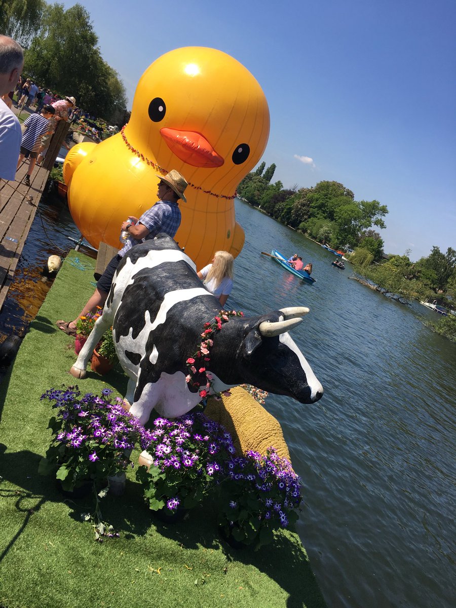 Maybe it’s a GM duck <a href="/ChelseaFringeHn/">ChelseaFringeHenley</a> <a href="/ChelseaFringe/">Chelsea Fringe</a>